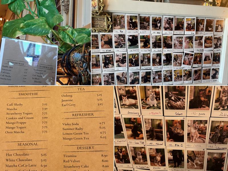 Cleocatra Café - Cat Cafe/ Portage Ave Menu