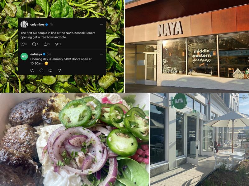 NAYA 146 Heights Rd, Darien