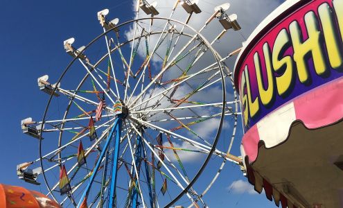 Fellsmere Frog Leg Festival Fellsmere