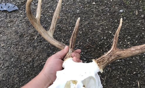 J & D Custom Meat Processing Greenwood