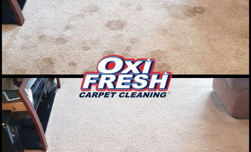 Oxi Fresh Carpet Cleaning
