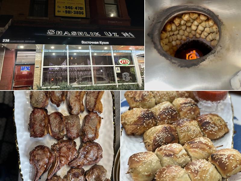 Shashlik Uz N1