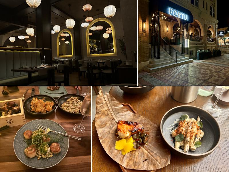 Fortu 97 Central Ave, St. Petersburg