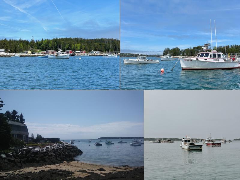 Spruce Head Fishermans Co-Op