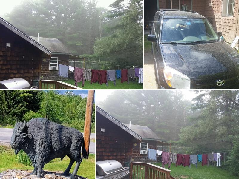 Maine Drilling & Blasting