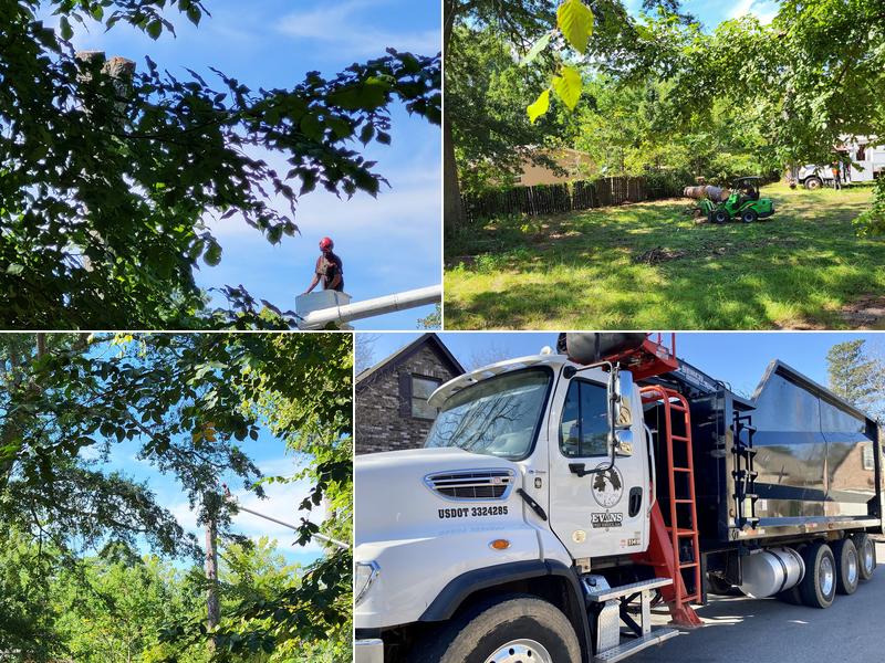 Evans Tree Service Inc.