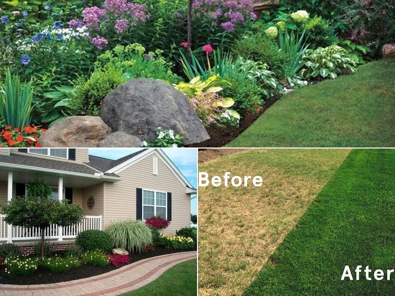 Dacula Lawn Care Company