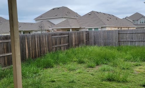 Lawnstarter Round Rock Lawn Service