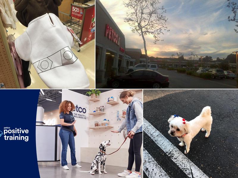 Petco Dog Training