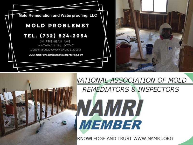 Mold Remediation and Waterproofing LLC