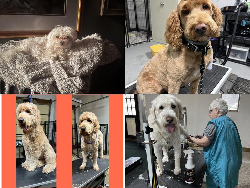 Rivers Edge Grooming