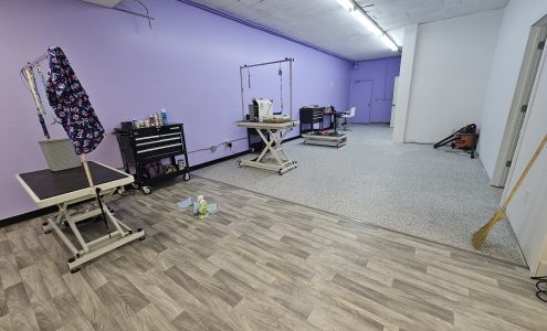 Lovely Lucy’s Dog and Cat Grooming 3208 W County Rd 54G Unit A, Laporte Colorado 80535