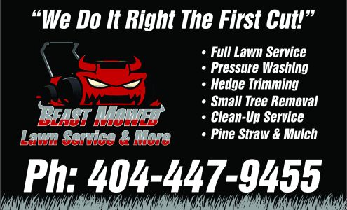 Beast mowed lawn service and more