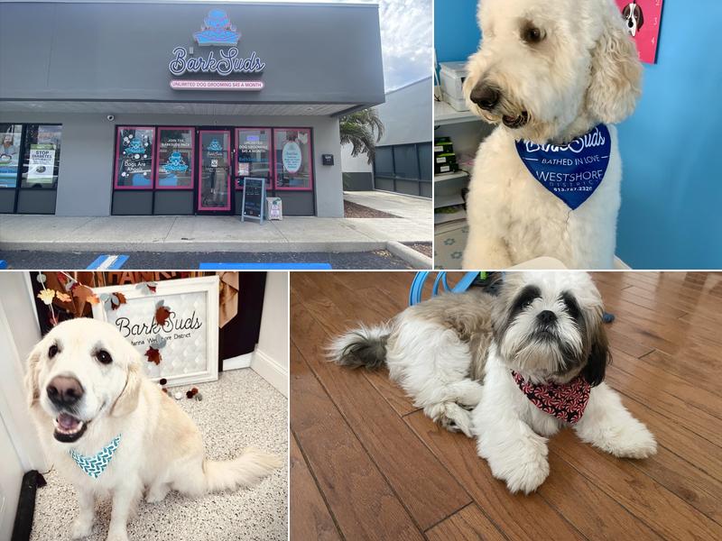 Barksuds Marina Westshore District