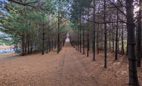 Wassenaar Pet Cemetery Lynden