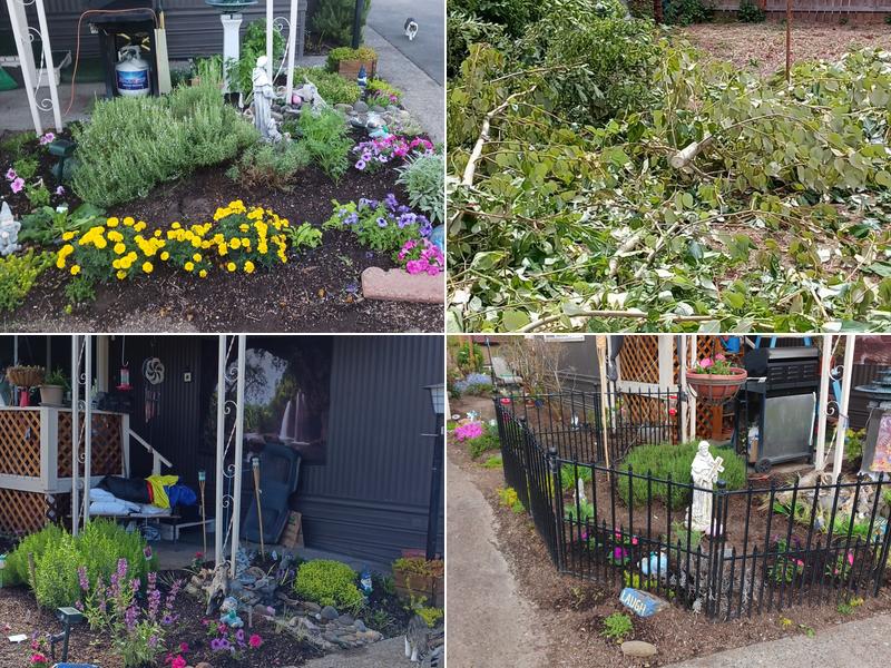 Dave's Here Yard Care