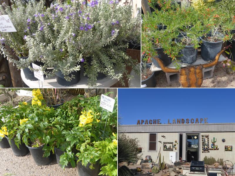 Apache Junction Landscapers Co.