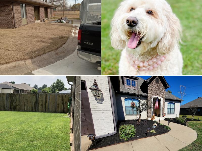 Affordable Lawn Care