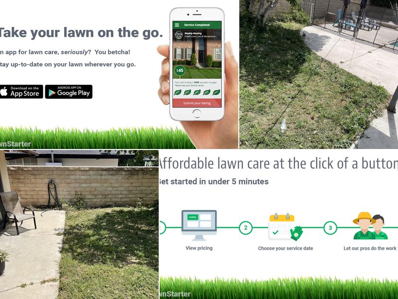 LawnStarter Lawn Care Service