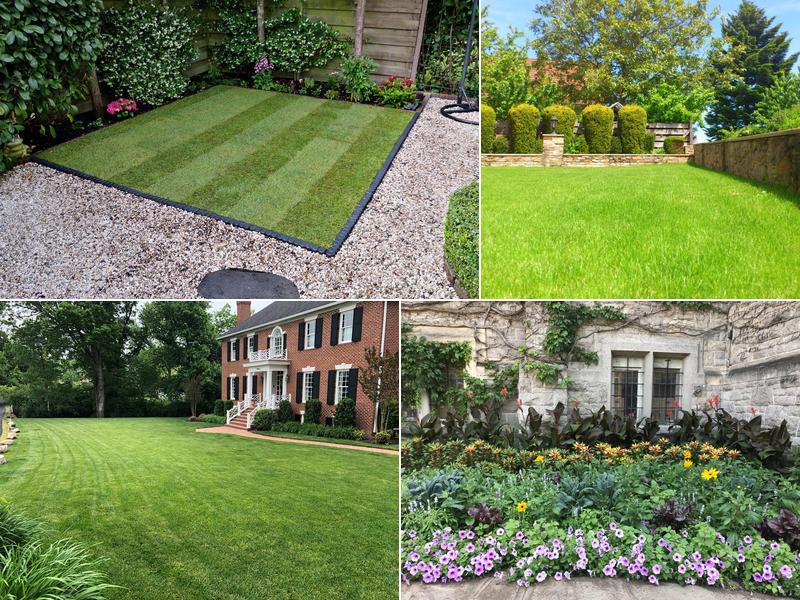 Westside LA Lawn Care and Landscaping Services