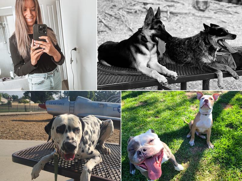 Kennelupk9training - Dog Training - Dog Trainer - Balanced - K9 Training