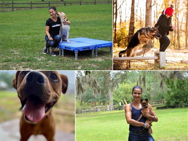 Georgia Dog Trainer