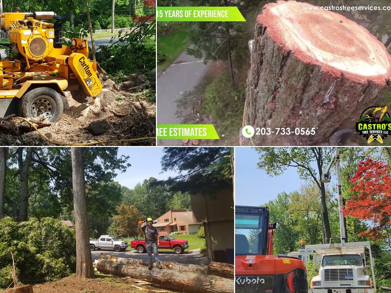 CASTRO'S TREE SERVICES LLC