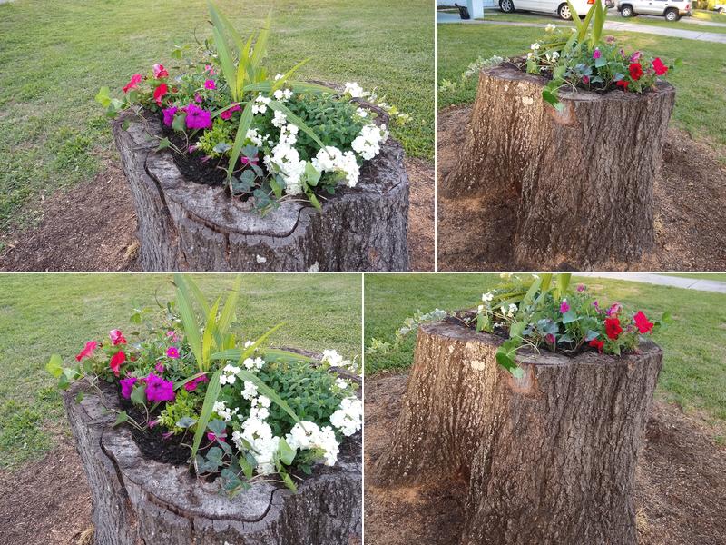Pruner&Potts LLC