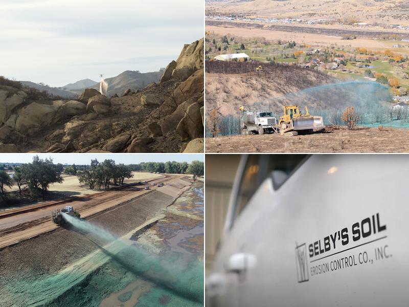 SSEC Apex | Apex Curb & Turf