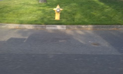 Lawn Lady
