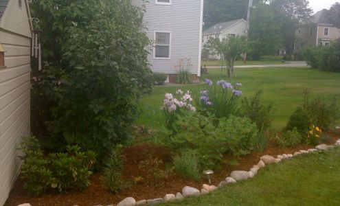 Lawn and Order