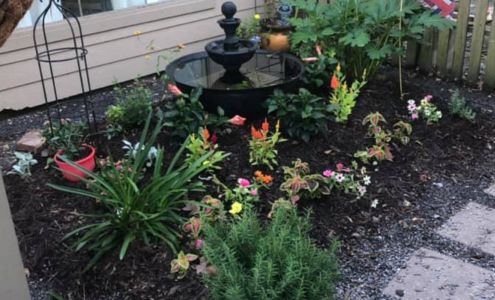 Ascension Mow N Geaux