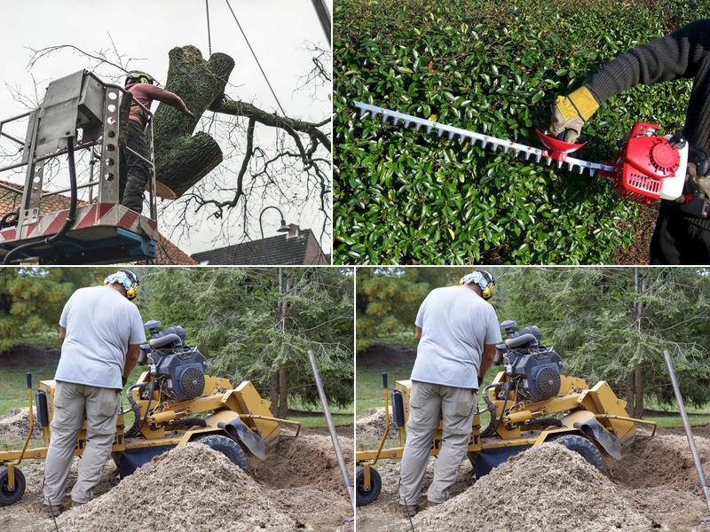 Tree Service Experts Quincy