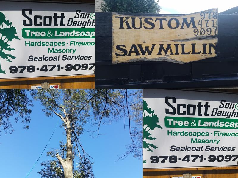 Scott, Son and Daughter Tree and Landscape