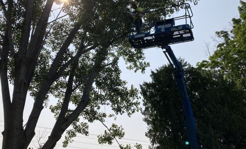 T&M Landscaping and Tree Services LLC E Deer Rd, Hart Michigan 49420