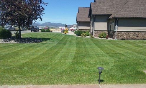 Elkhorn Lawn and Maintenance