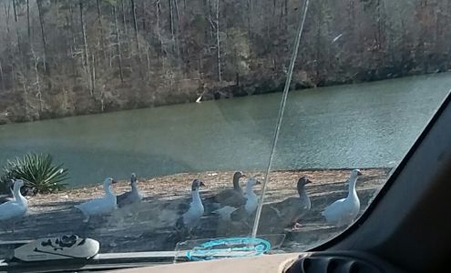 McCallum Hauling 8671 Lower Thomaston Rd, Lizella Georgia 31052