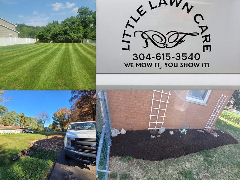 Grasshopper lawn care