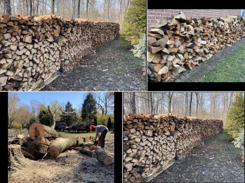 Branch Tree services