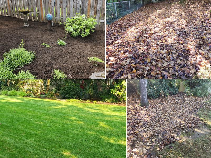 JV Lawn and Garden Maintenance LLC