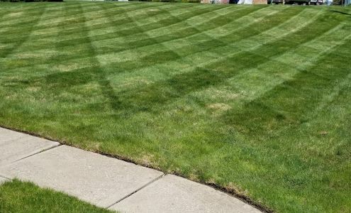 T & G's Lawncare and Ground Maintenance