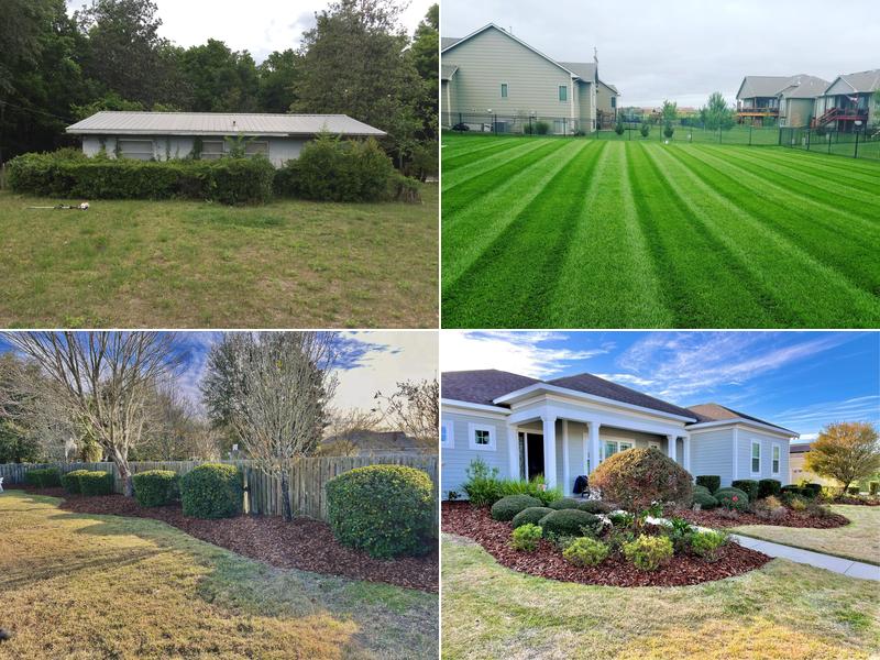 Grass Monkey Lawn Care