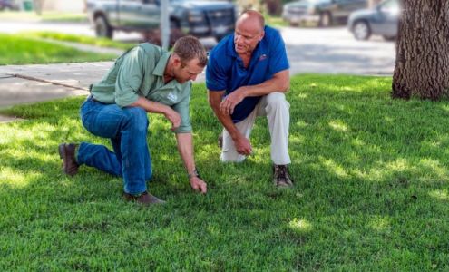 Emerald Lawns - Northeast San Antonio