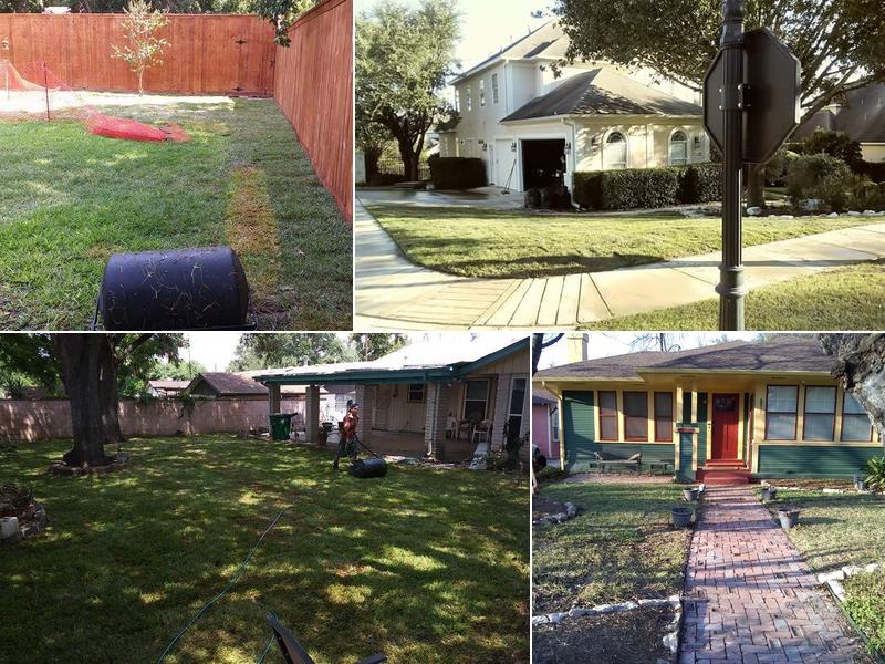 JC Lawn Sod installation