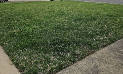 CORBIN'S LAWN CARE LLC. / ANOTHER CORBIN'S CO.