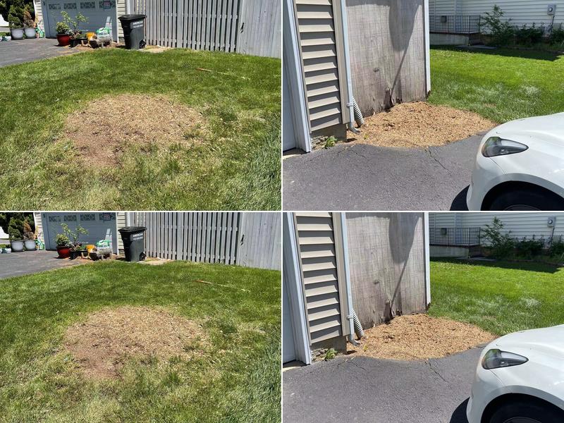 Premier Tree Solutions LLC