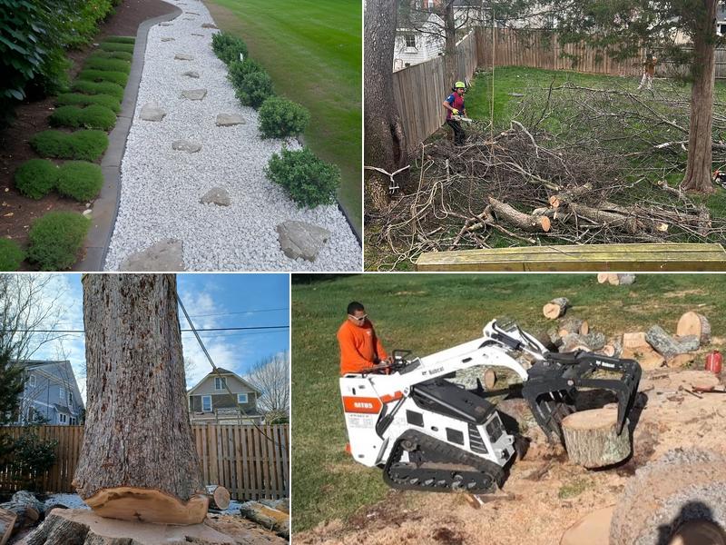 Tarzan Tree and Landscaping LLC.