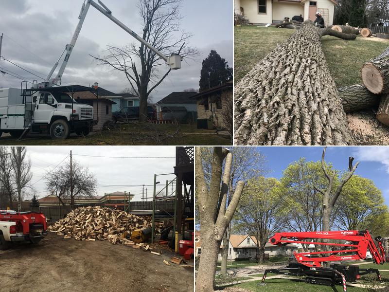 Precision Tree & Landscape Service LLC