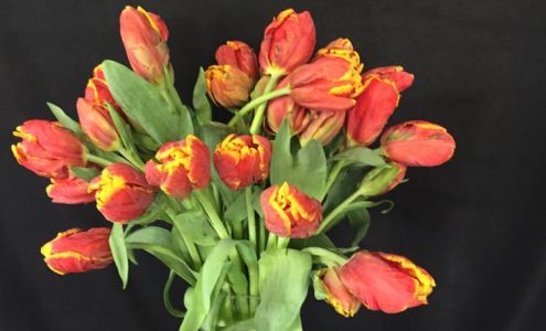 Antheros Floral Design