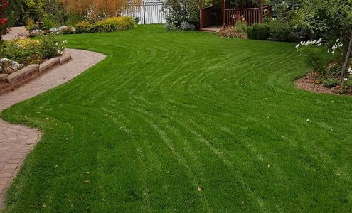 Enviro Masters Lawn Care